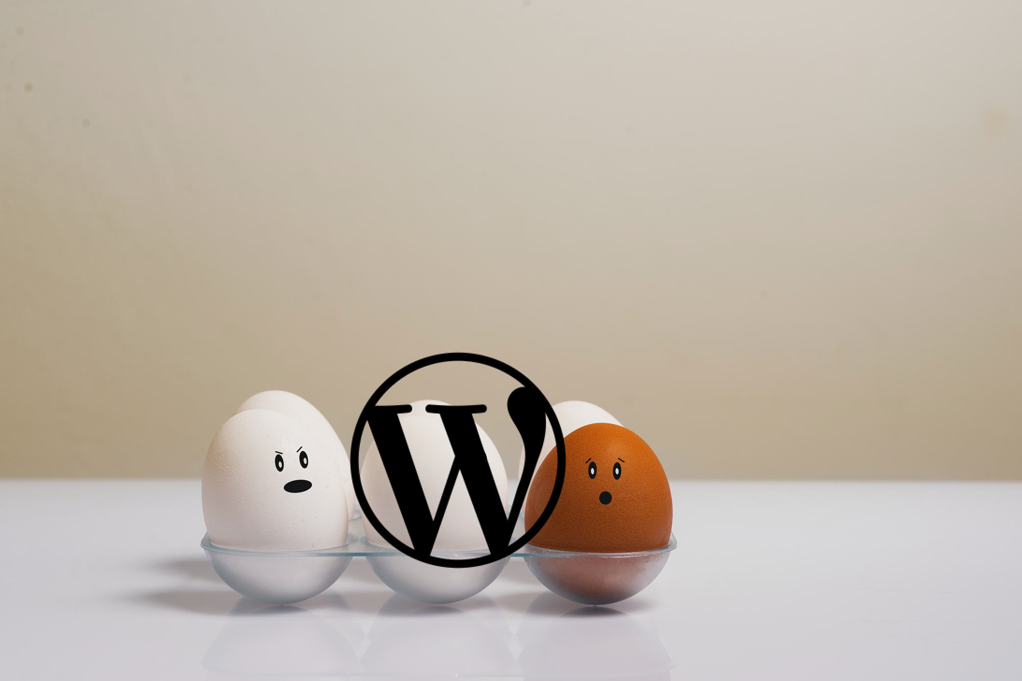 Is WordPress eenvoudig?