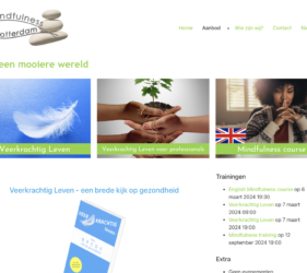 Website Mindfulness school